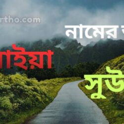 সুমাইয়া নামের অর্থ কি