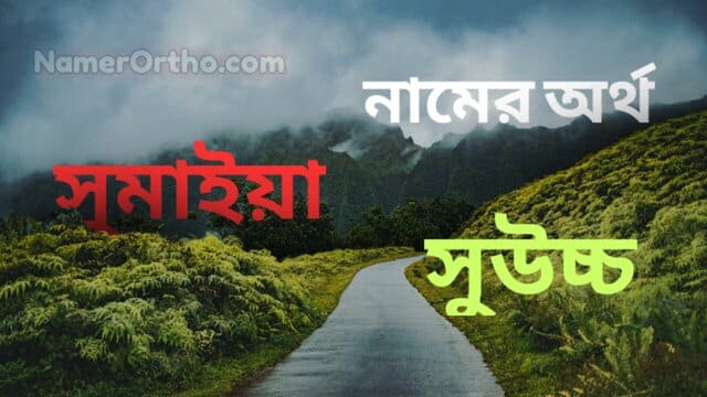 সুমাইয়া নামের অর্থ কি