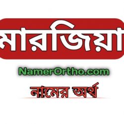 মারজিয়া নামের অর্থ কি Marzia Name Meaning in bengali
