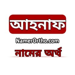 আহনাফ নামের অর্থ কি? Ahnaf Name Meaning in Bengali