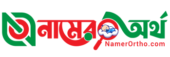 Namerortho logo png