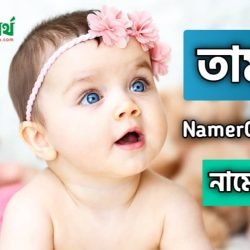 তামান্না নামের অর্থ কি? Tamanna name meaning in bengali