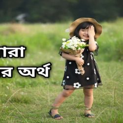 সারা নামের অর্থ কি