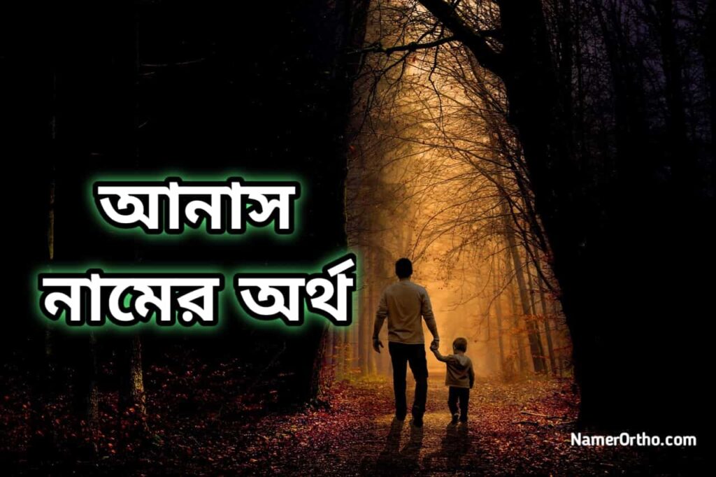 আনাস নামের অর্থ কি