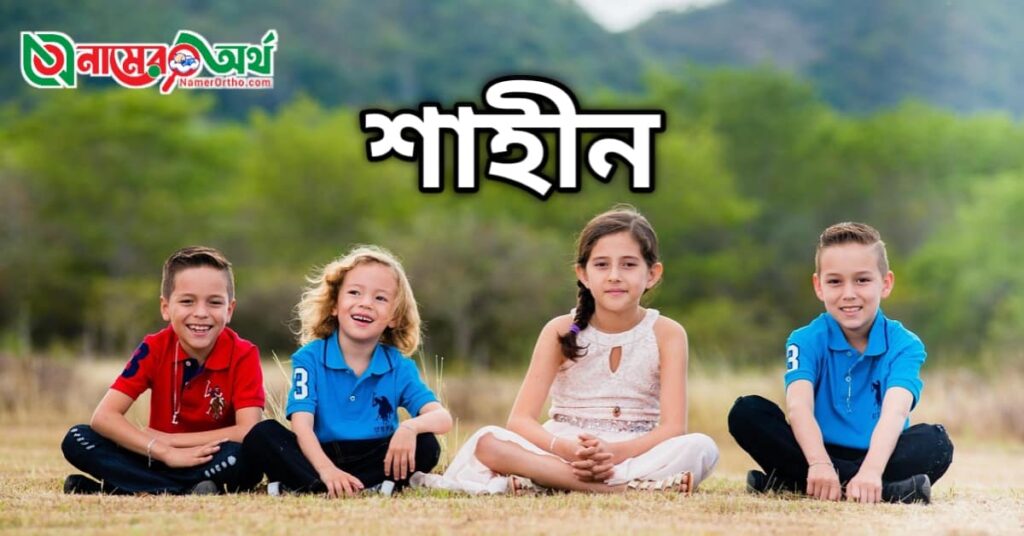 শাহীন নামের অর্থ কি
