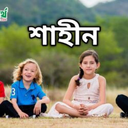 শাহীন নামের অর্থ কি