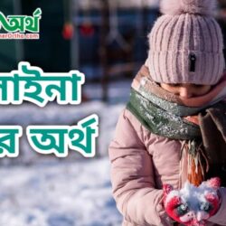 আলাইনা নামের অর্থ কি