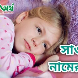 সাওদা নামের অর্থ কি